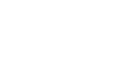 Flum logo